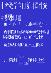 中考数学专门复习课件56