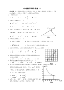 中考数学得分专练17