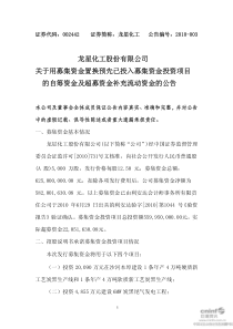 龙星化工：关于用募集资金置换预先已投入募集资金投资项目的自筹资金