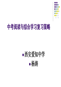 中考阅读与综合学习复习策略