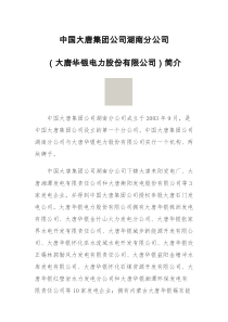 中国大唐集团公司湖南分公司简介