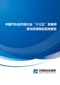 中国汽车后市场行业“十三五”发展预测与投资规划咨询报告(目录)