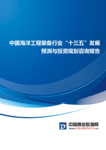 中国海洋工程装备行业“十三五”发展预测与投资规划咨询报告(目录)