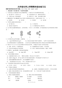 九年级化学上册期末复习综合练习5