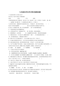 九年级化学化学方程式检测试题