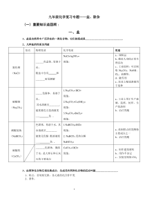 九年级化学复习专题盐除杂