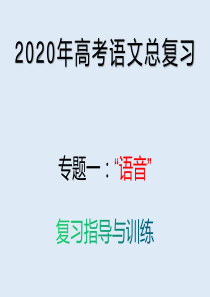 2020年高考语文总复习(语音专题)