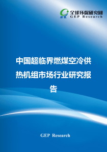 中国超临界燃煤空冷供热机组市场行业研究报告