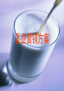 乳业营销方案