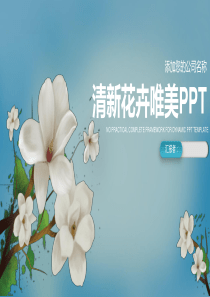 精品ppt模板