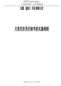 白猫（重庆）日化有限公司月度经济责任制考核实施细则（DOC30页）(1)