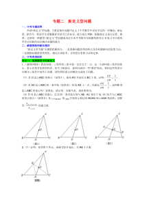 专题二新定义型问题(答案)