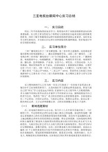 三亚电视台新闻中心实习总结