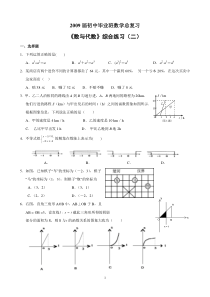 专题复习《数与代数》综合练习(二)及答案