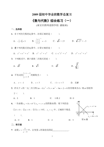 专题复习《数与代数》综合练习(一)及答案