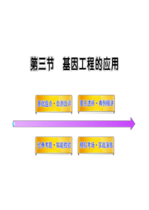 (开学大礼包XXXX高三生物复习课件：IA313基因工程