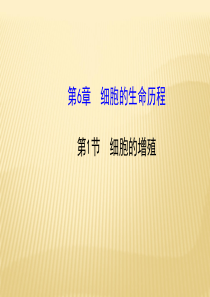 (金榜14-15生物(人教版)必修1同步课件：61细胞的增殖