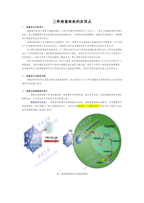 三种病毒转染的异同点