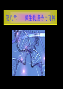 08第八章微生物遗传