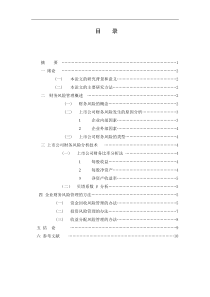 上市公司财务风险分析