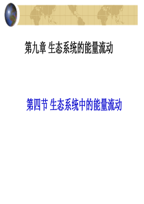 上海交通大学第九,十章生态系统生态学.