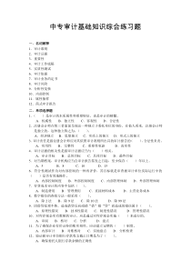 中专审计基础知识综合练习题及答案