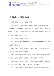 中兴通讯中小企业网解决方案