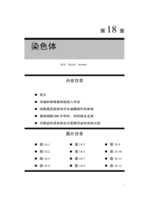 18-分子生物学作业1-第18章染色体