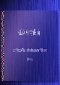 1、病原性真菌检验 临床微生物学 (第三军医大学)