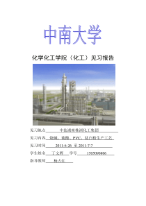 中南大学株洲化工厂见习报告