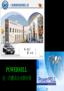 05-POWERMILL在一汽模具公司的应用