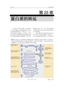 25-分子生物学作业2-第25章蛋白质的转运