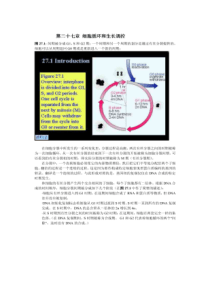 27-分子生物学作业2-第27章细胞循环和生长调控