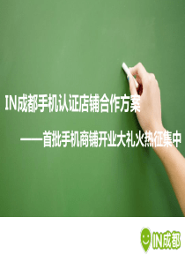 IN成都20移动电子商务合作方案