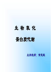 4生物氧化与能量代谢 蛋白质的代谢(3)