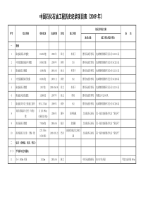 中国石化石油工程历史纪录项目表