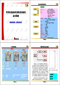 AMDA公司模具展览