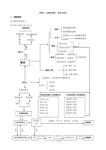 专题5生物的遗传变异与进化