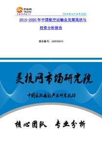 中国航空运输业市场发展现状调研及投资分析报告—灵核网