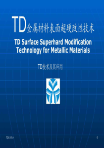 TD技术--汽车模具表面超硬改性技术