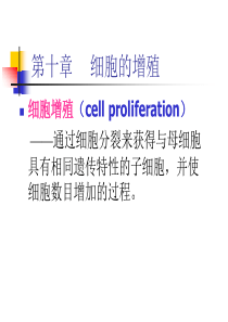 chapter10-医学细胞生物学