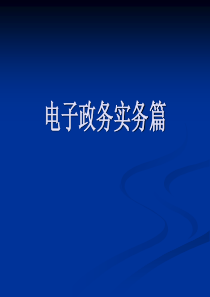 电子政务实务篇