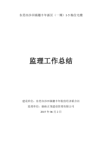 东莞市沙田镇穗丰年新区监理工作总结