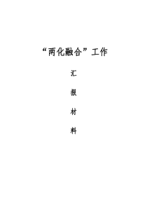 两化融合汇报材料