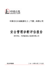 中石化天津蓝巢运行维护项目部安全诊断评估报告