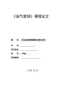 中石油的营销策略与模式分析