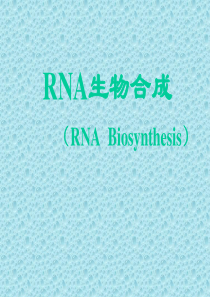 rna生物合成