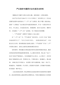 严以修身专题研讨会交流发言材料