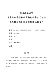 《毛泽东思想和中国特色社会主义理论体系概论课》社会实践团队报告书