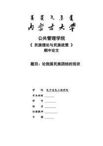 《民族理论与民族政策》期中论文论我国民族团结的现状